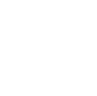 Delivery Car Icon