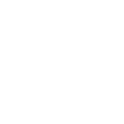 GPS Icon